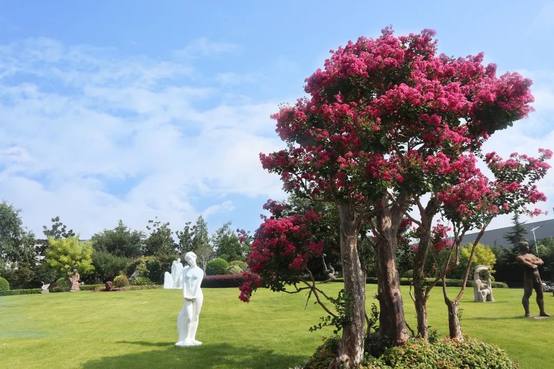 首页-人生就是博