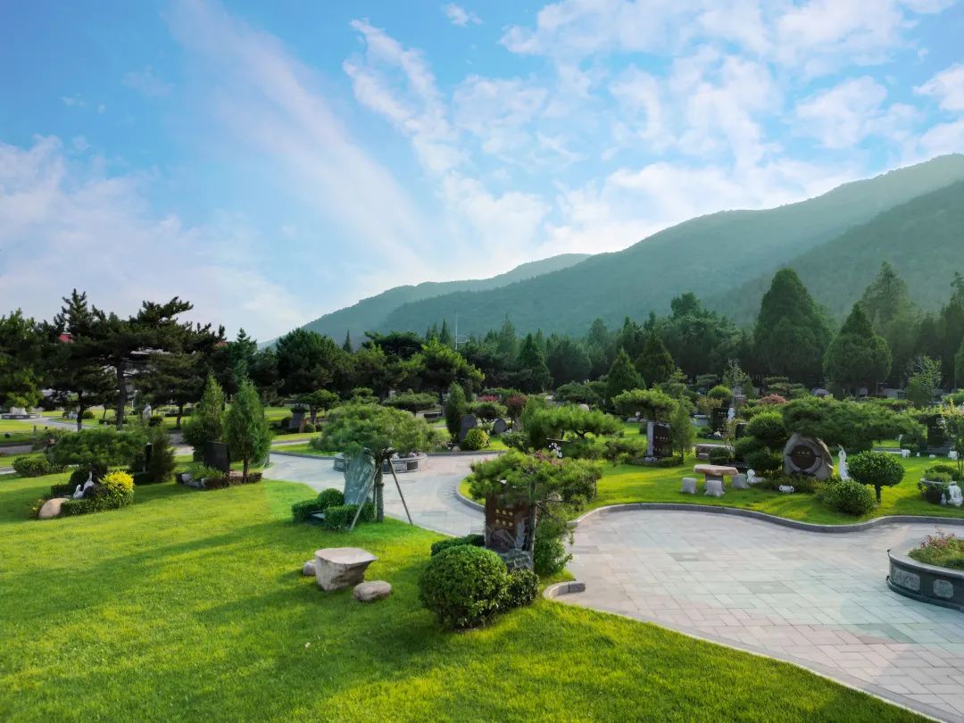 首页-人生就是博