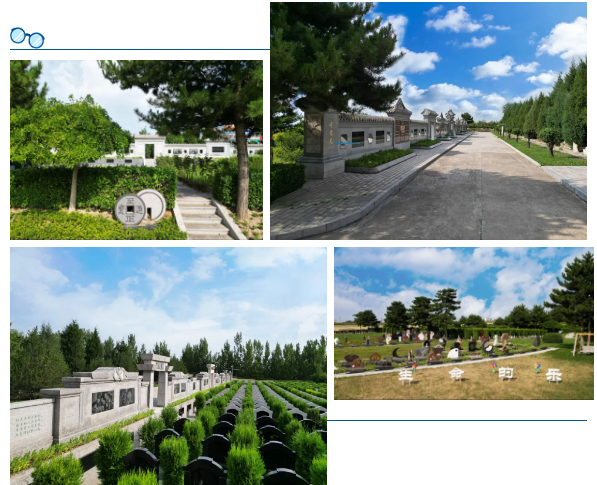 首页-人生就是博