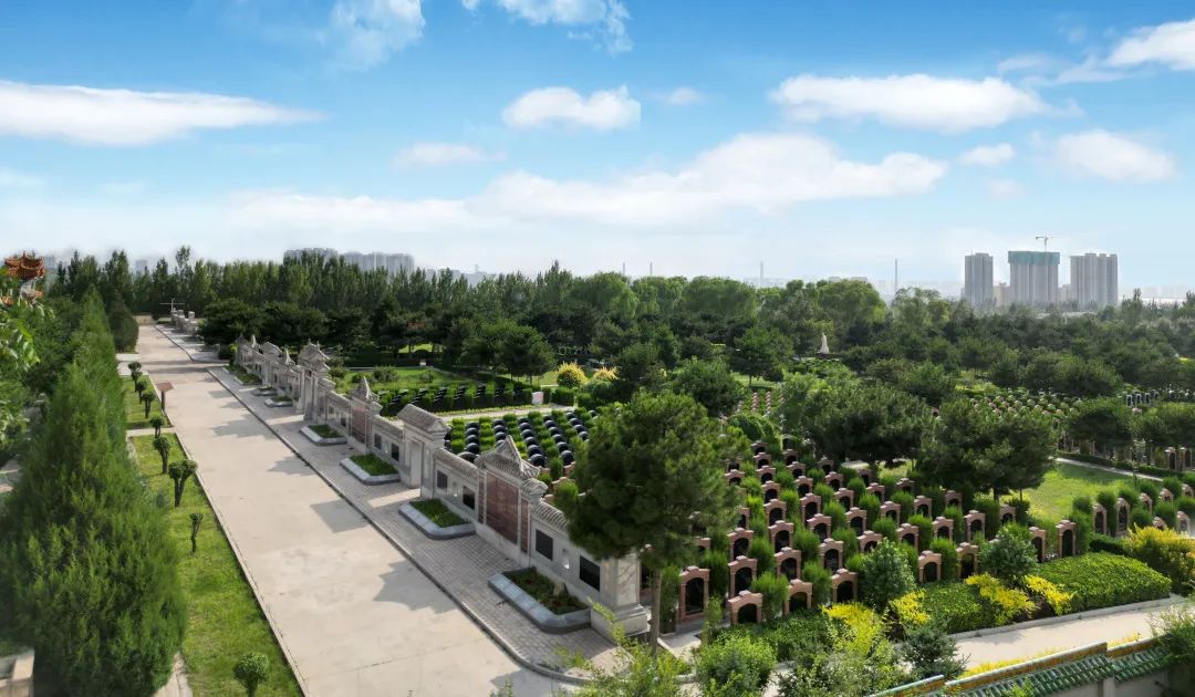 首页-人生就是博