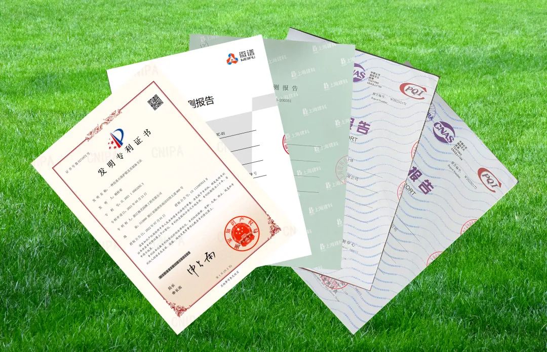 首页-人生就是博