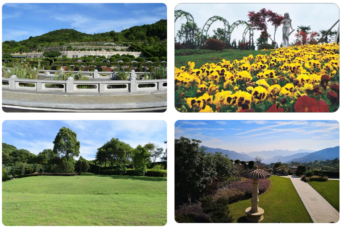 首页-人生就是博