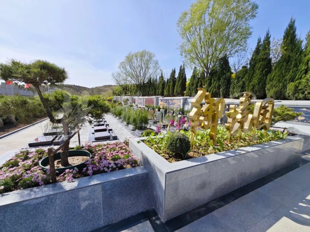 首页-人生就是博