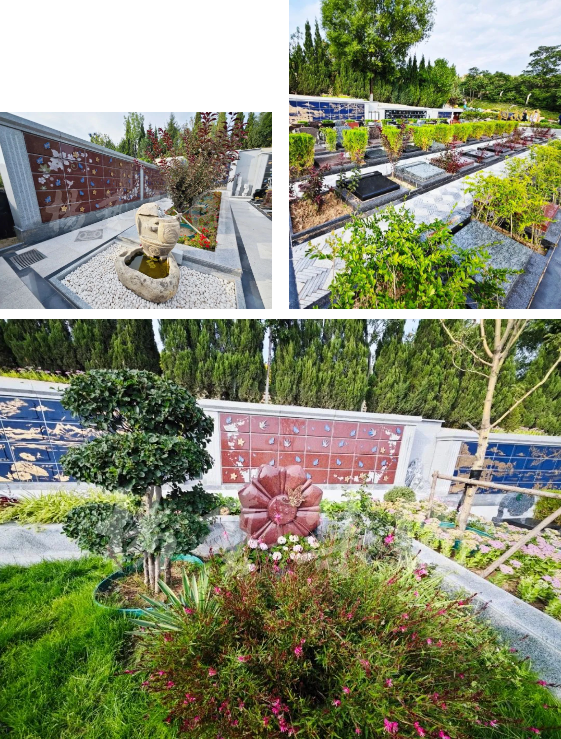 首页-人生就是博