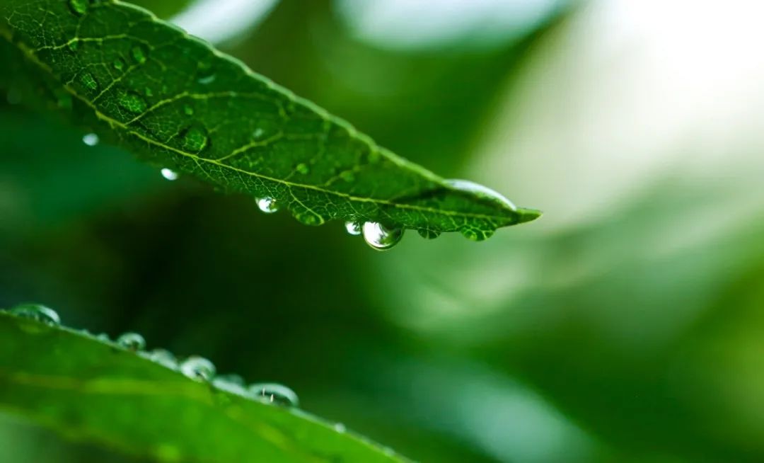 首页-人生就是博