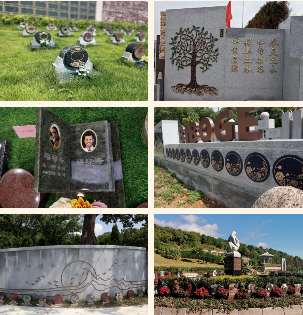 首页-人生就是博