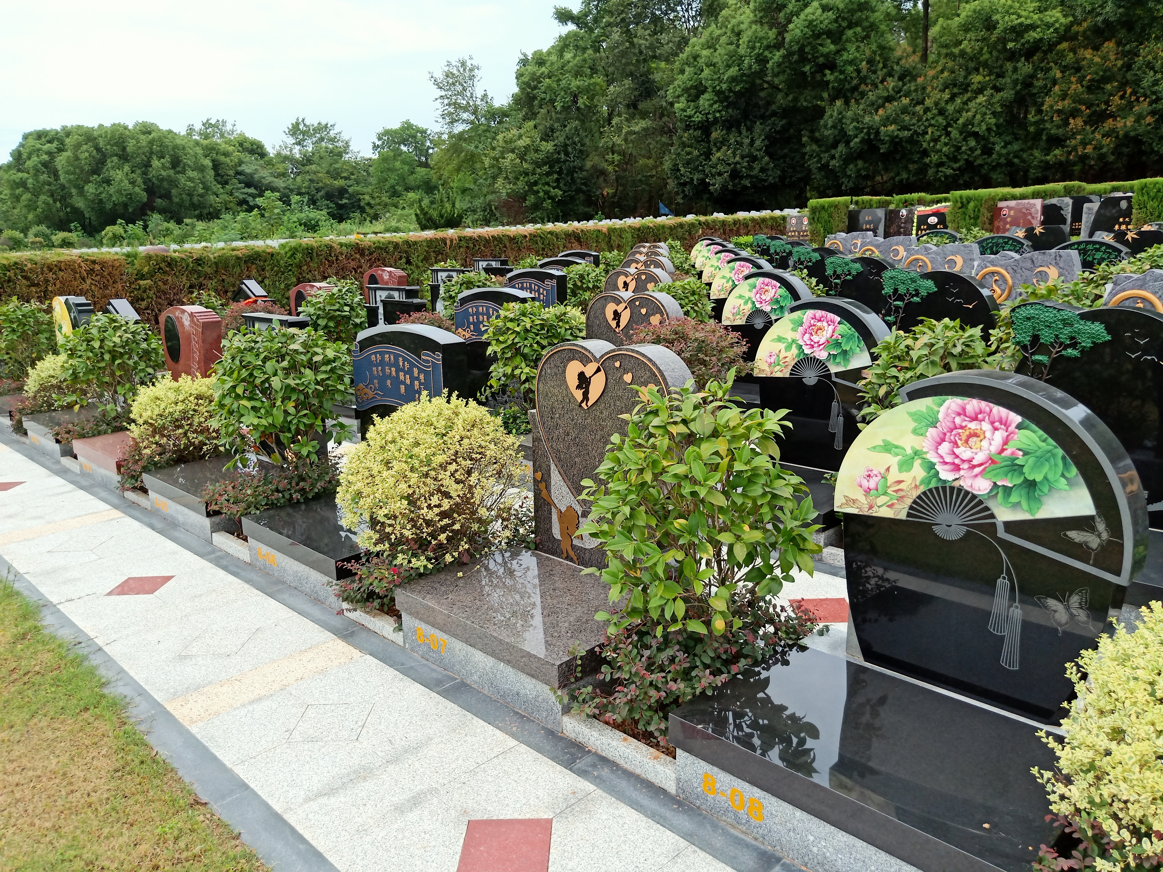 首页-人生就是博