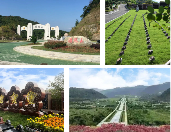 首页-人生就是博