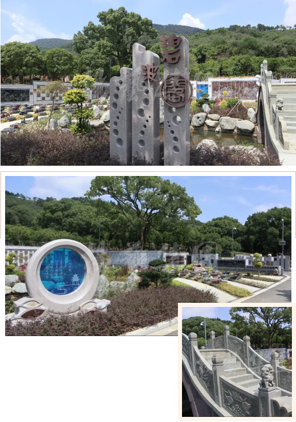 首页-人生就是博