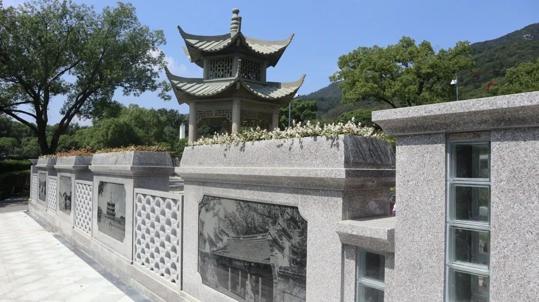 首页-人生就是博