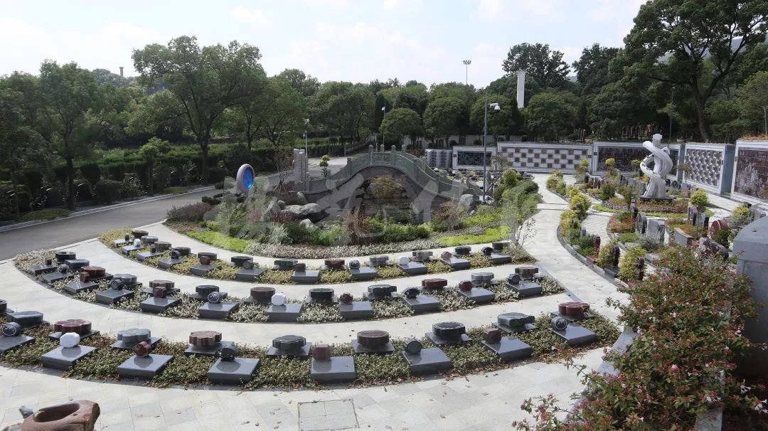 首页-人生就是博