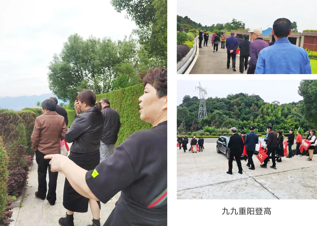 首页-人生就是博