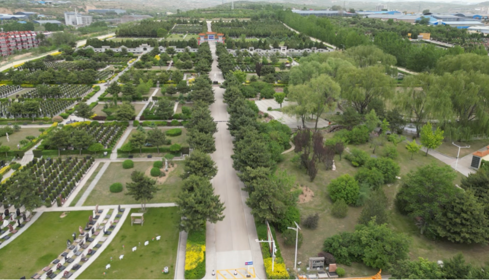 首页-人生就是博