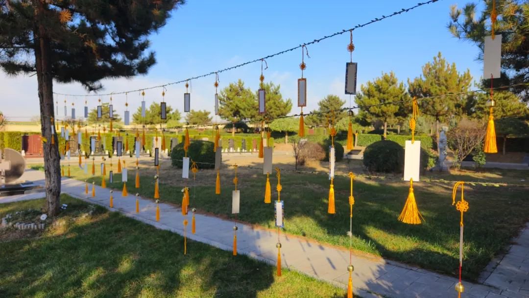 首页-人生就是博