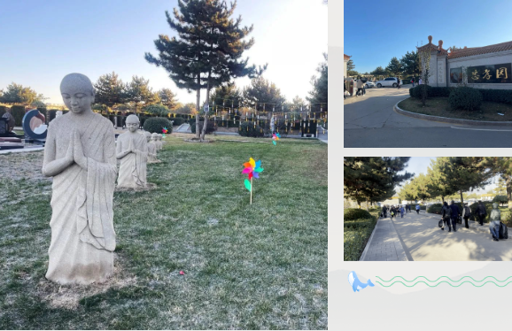 首页-人生就是博