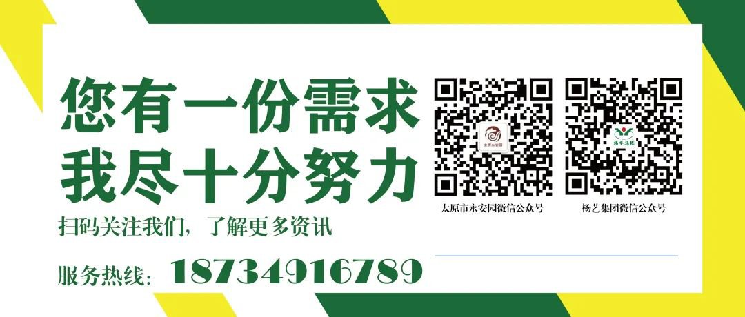 首页-人生就是博