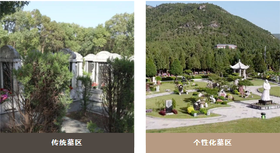 首页-人生就是博