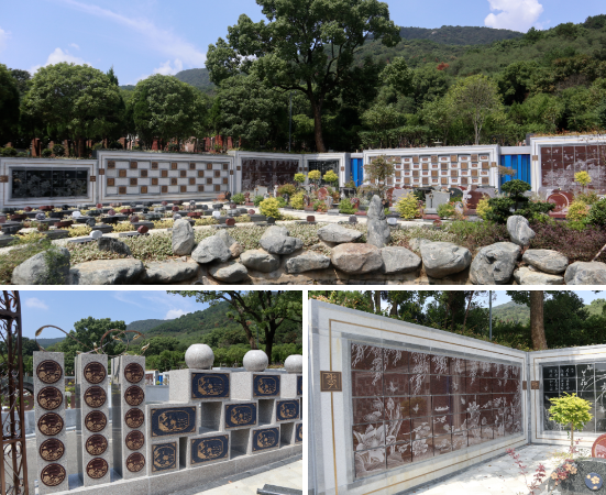 首页-人生就是博