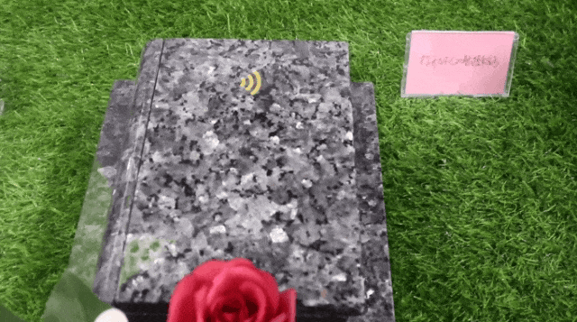 首页-人生就是博