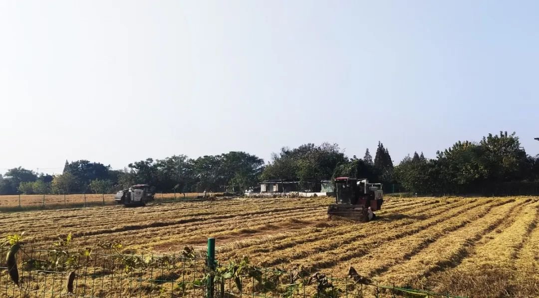 首页-人生就是博