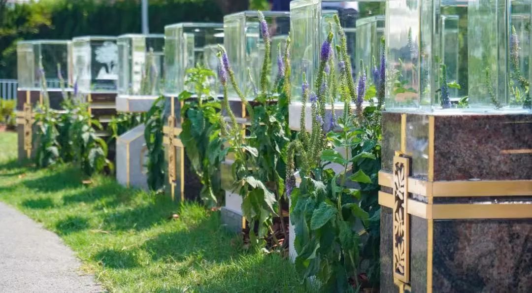 首页-人生就是博