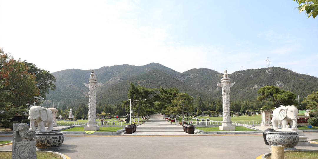 首页-人生就是博