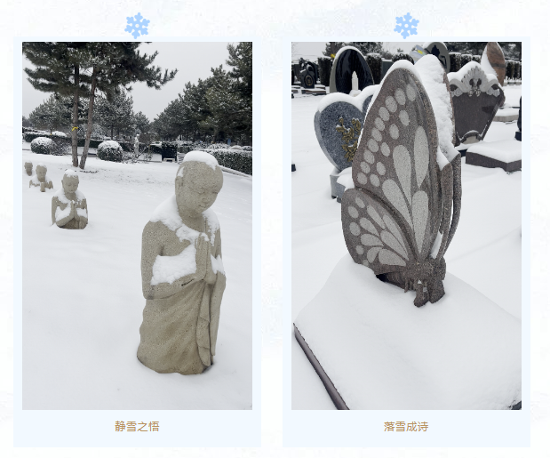 首页-人生就是博