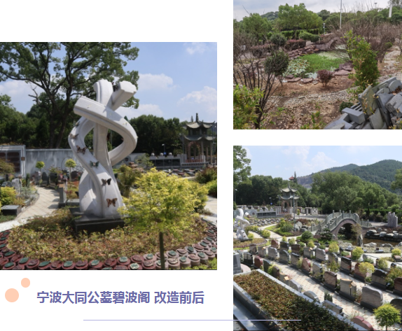 首页-人生就是博