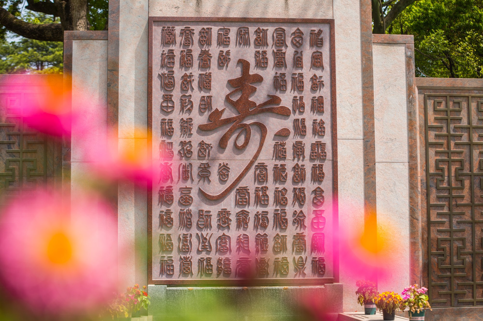 首页-人生就是博