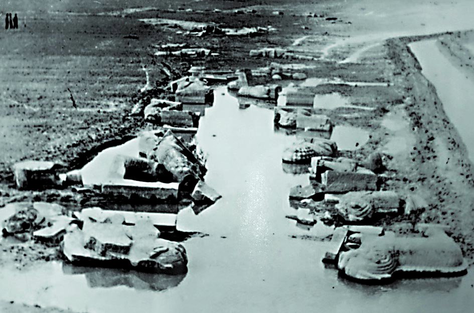 首页-人生就是博