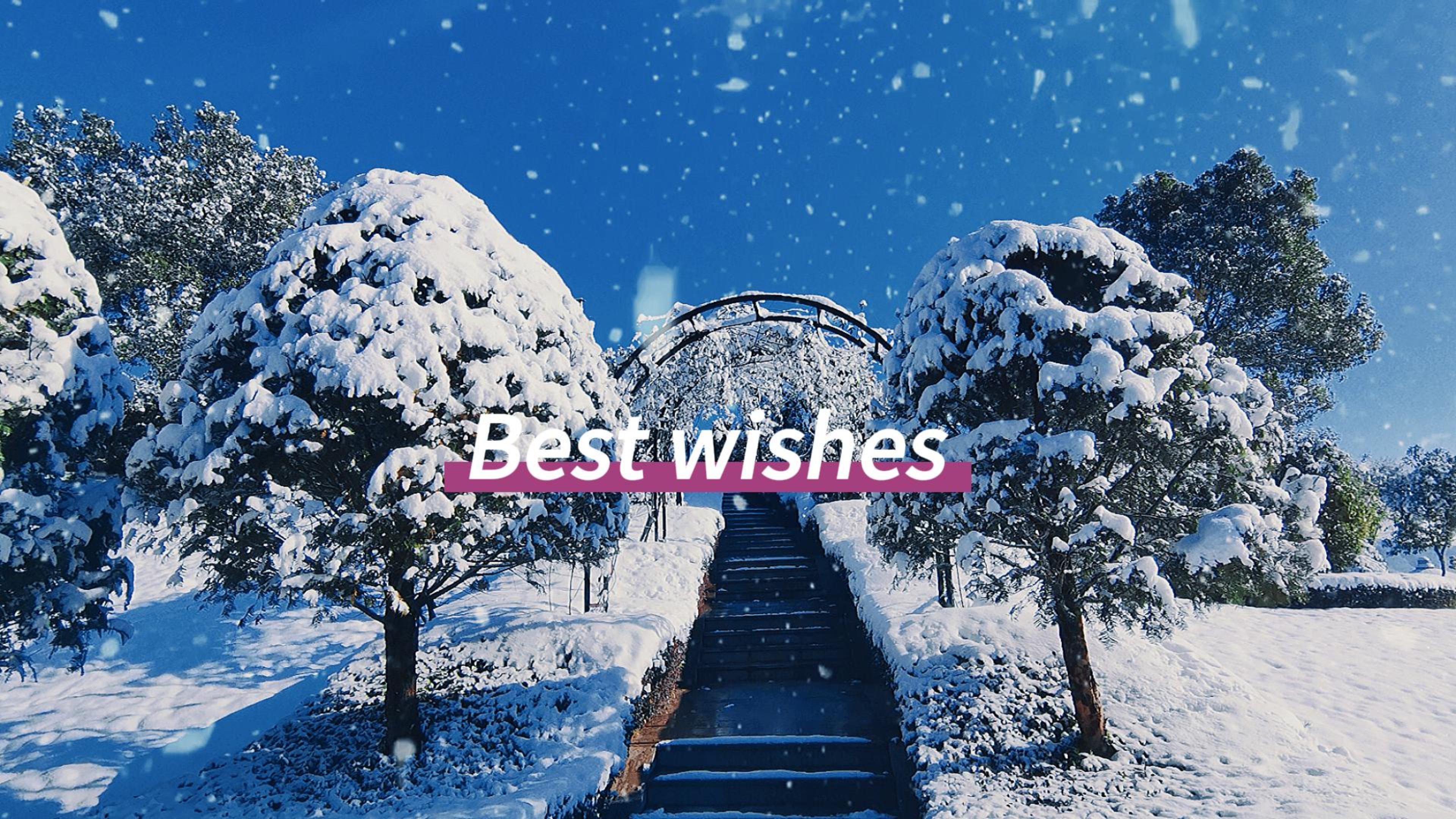 首页-人生就是博