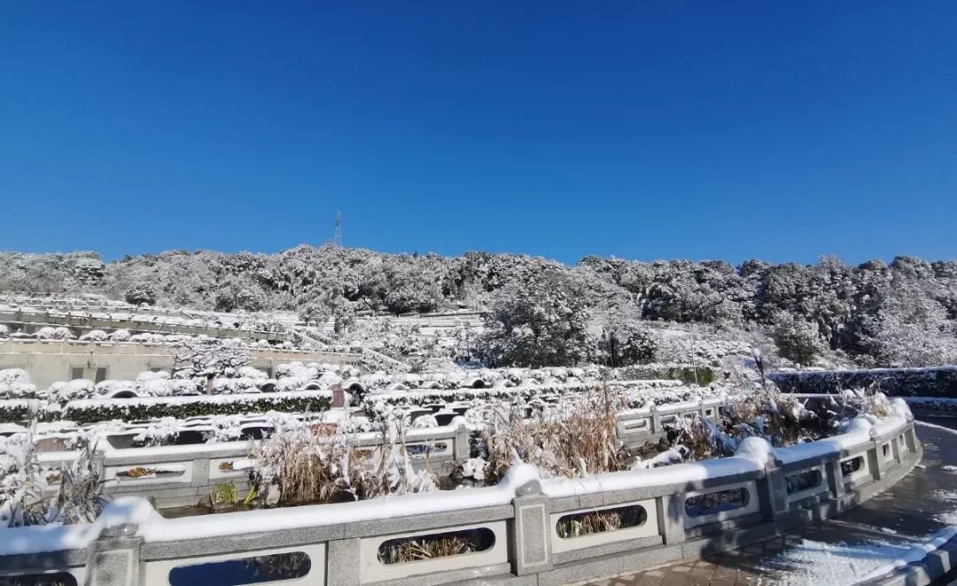 首页-人生就是博