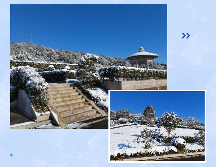 首页-人生就是博