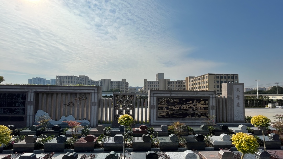 首页-人生就是博