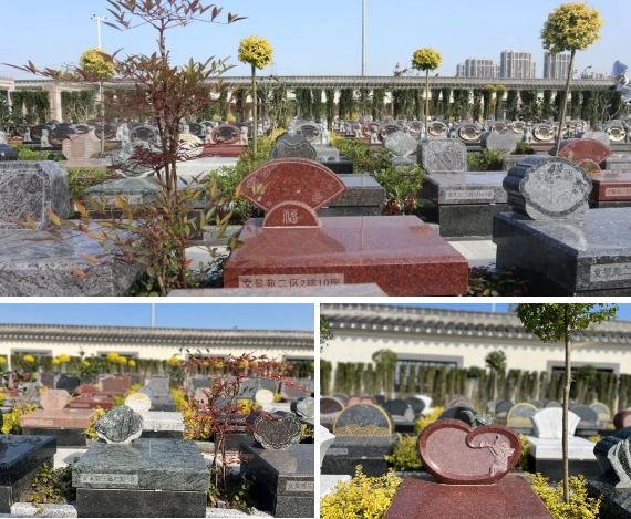 首页-人生就是博