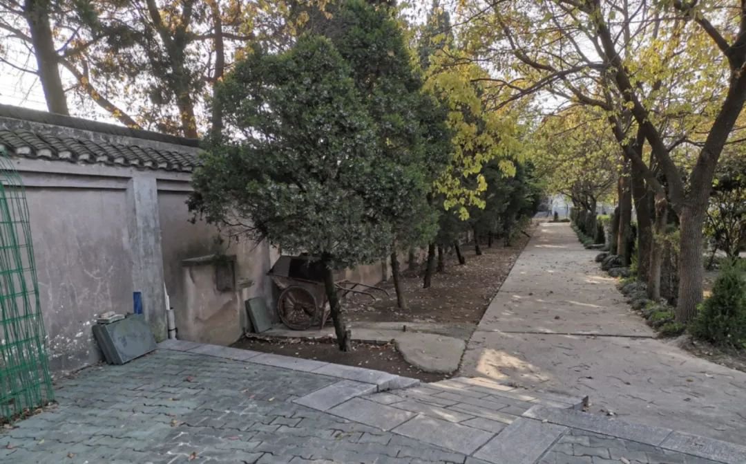 首页-人生就是博