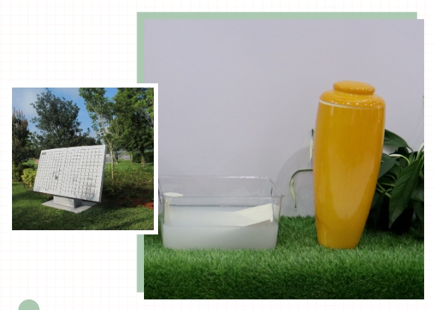 首页-人生就是博