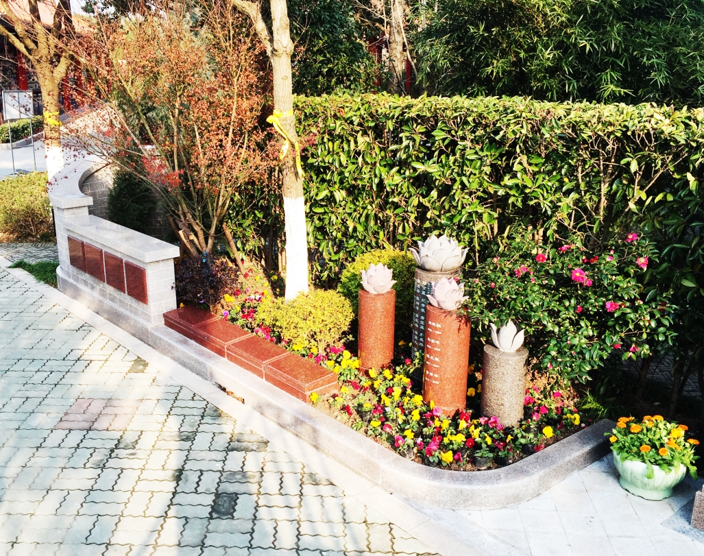 首页-人生就是博