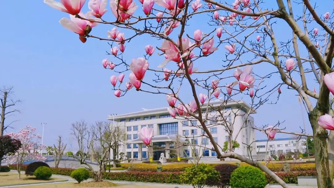 首页-人生就是博