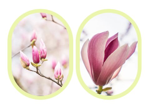 首页-人生就是博