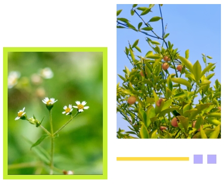 首页-人生就是博