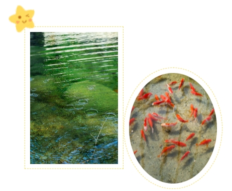 首页-人生就是博