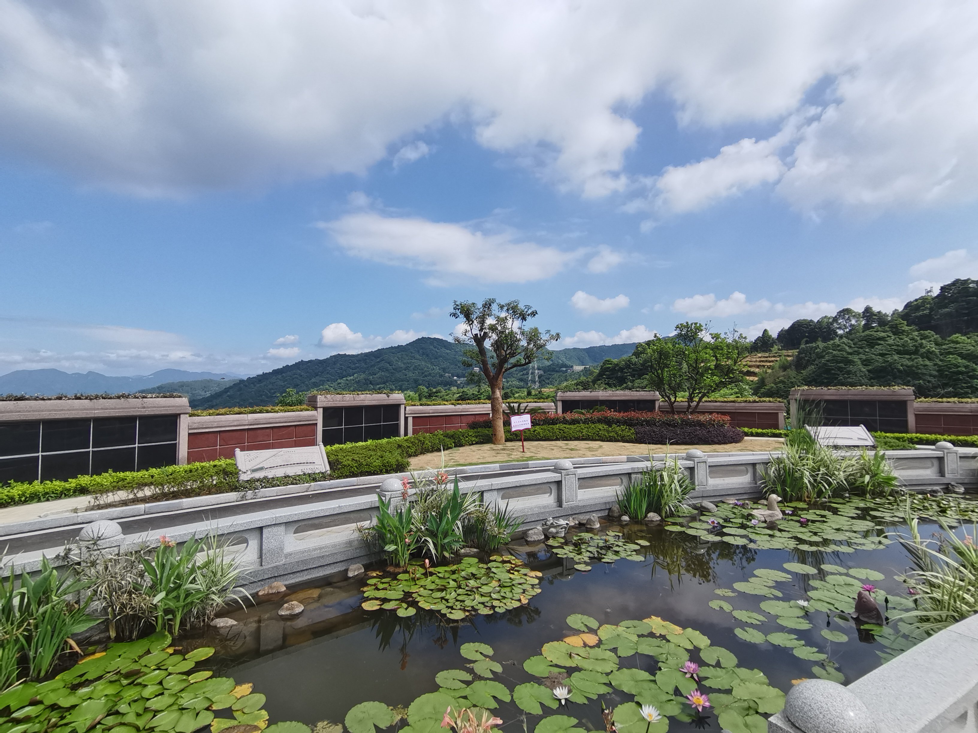 首页-人生就是博