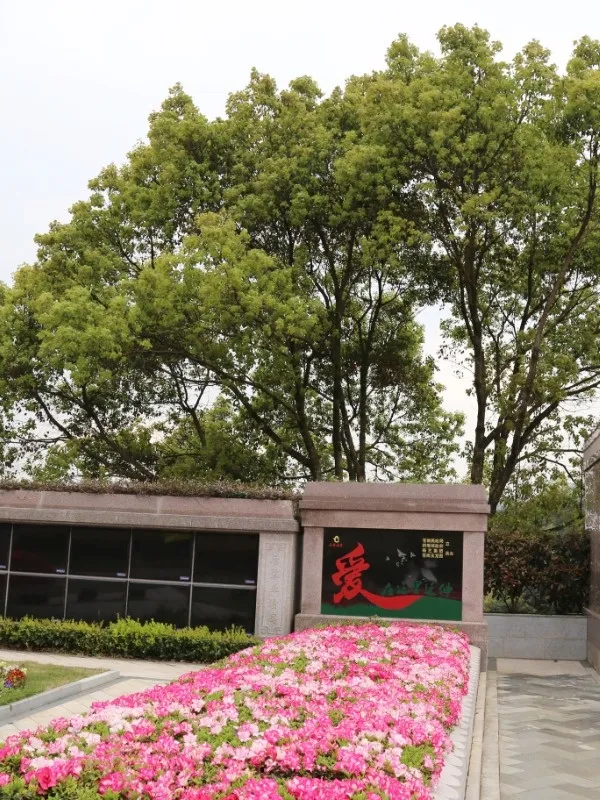 首页-人生就是博