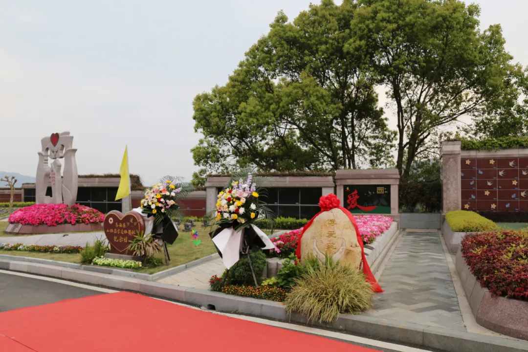 首页-人生就是博