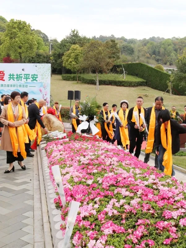 首页-人生就是博