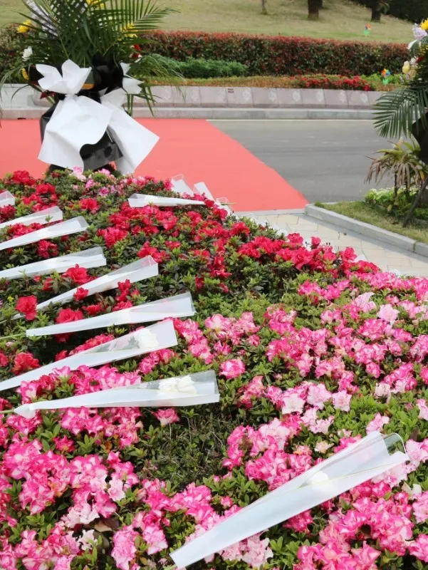 首页-人生就是博