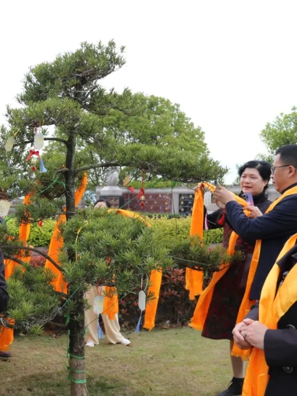 首页-人生就是博