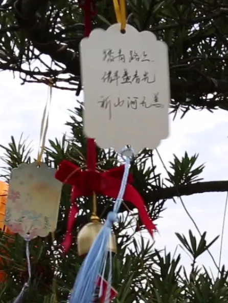 首页-人生就是博