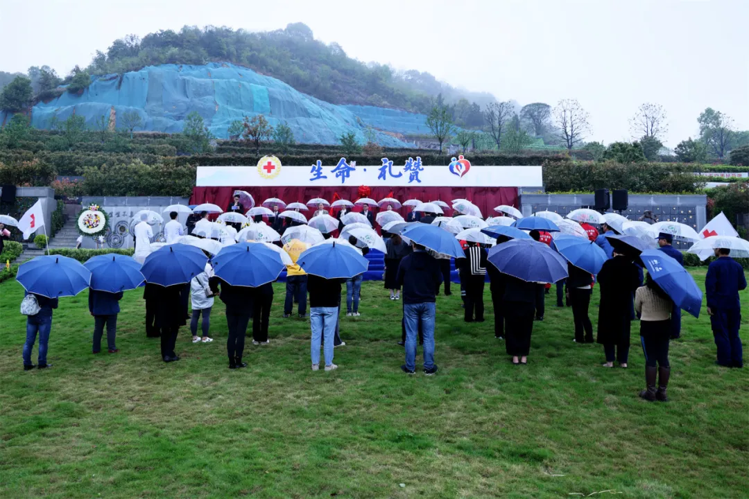 首页-人生就是博